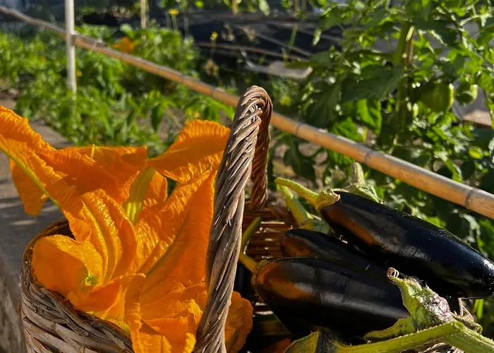 Dimora Storica Pasquale Capri