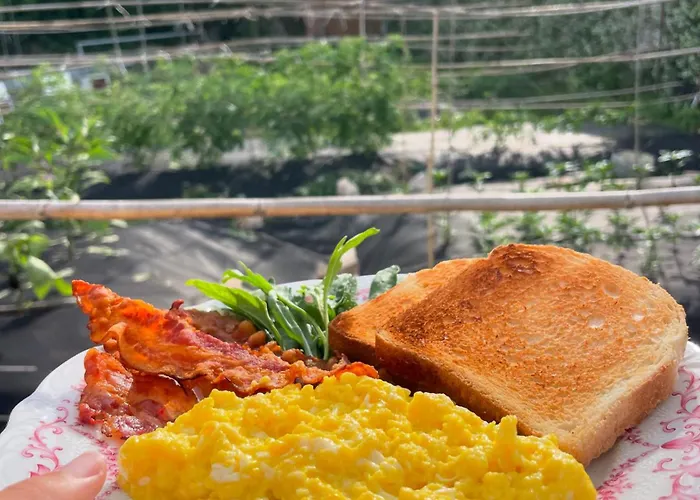 Dimora Storica Pasquale 4* Capri