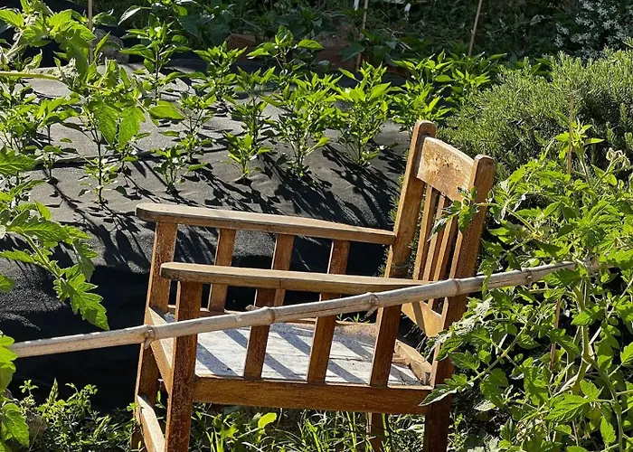 Dimora Storica Pasquale 4* Capri