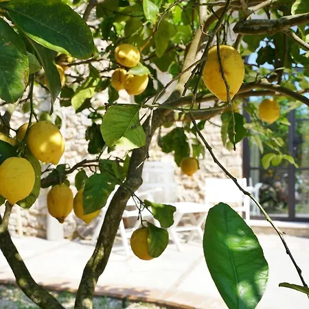 Pensión Dimora Storica Pasquale