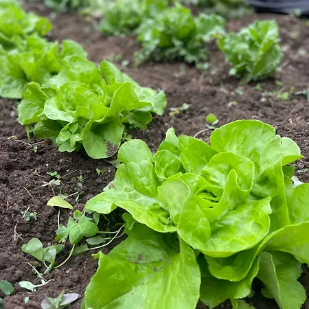 Гостевой дом Dimora Storica Pasquale 4*