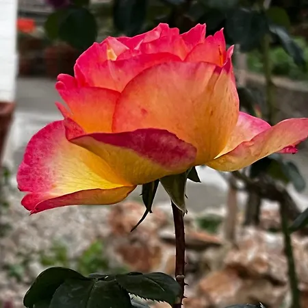 Гостевой дом Dimora Storica Pasquale 4*