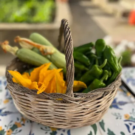 Dimora Storica Pasquale