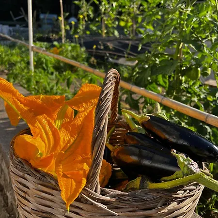 Dimora Storica Pasquale Капри