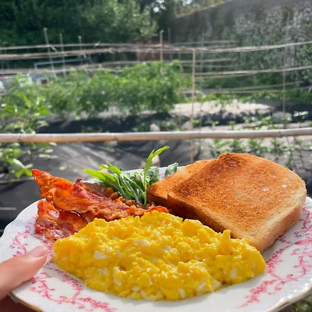 Dimora Storica Pasquale 4* Капри