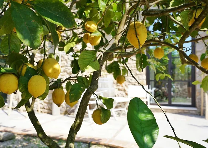 게스트하우스 Dimora Storica Pasquale