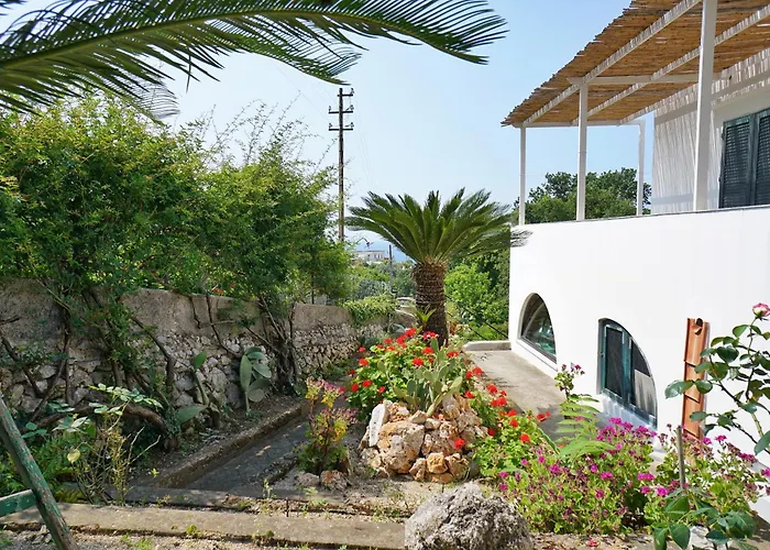 게스트하우스 Dimora Storica Pasquale