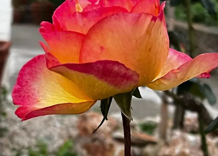 게스트하우스 Dimora Storica Pasquale 4*